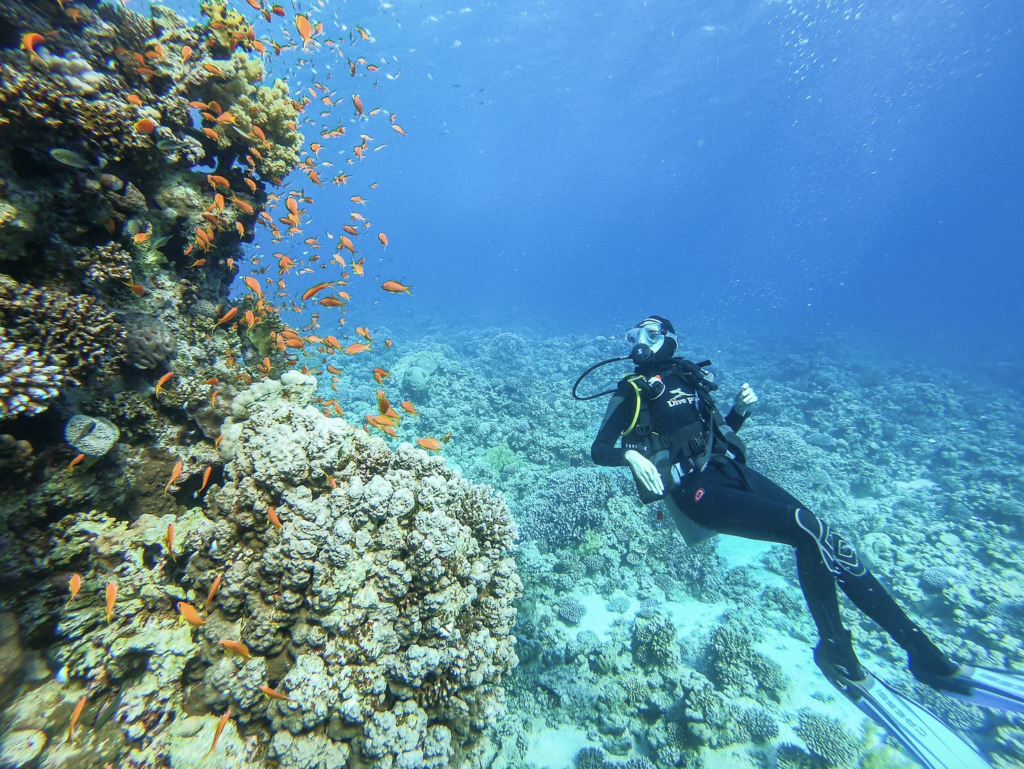 Scuba diving in Dahab- SS Thistlegorm